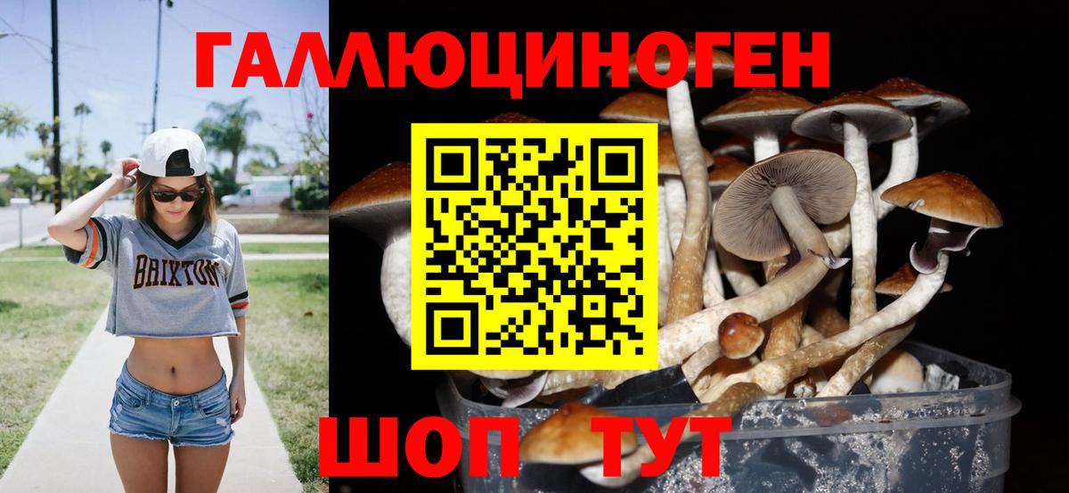 Псилоцибиновые грибы ЛСД Ейск