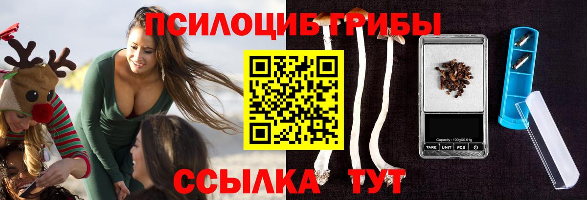 Галлюциногенные грибы Magic Shrooms  Вход с VPN  Ейск  Галлюциногенные грибы MAGIC MUSHROOMS 